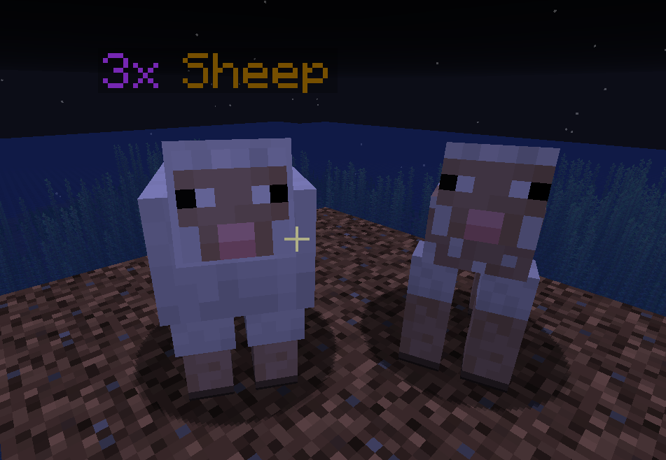 Shearing a stacked sheep